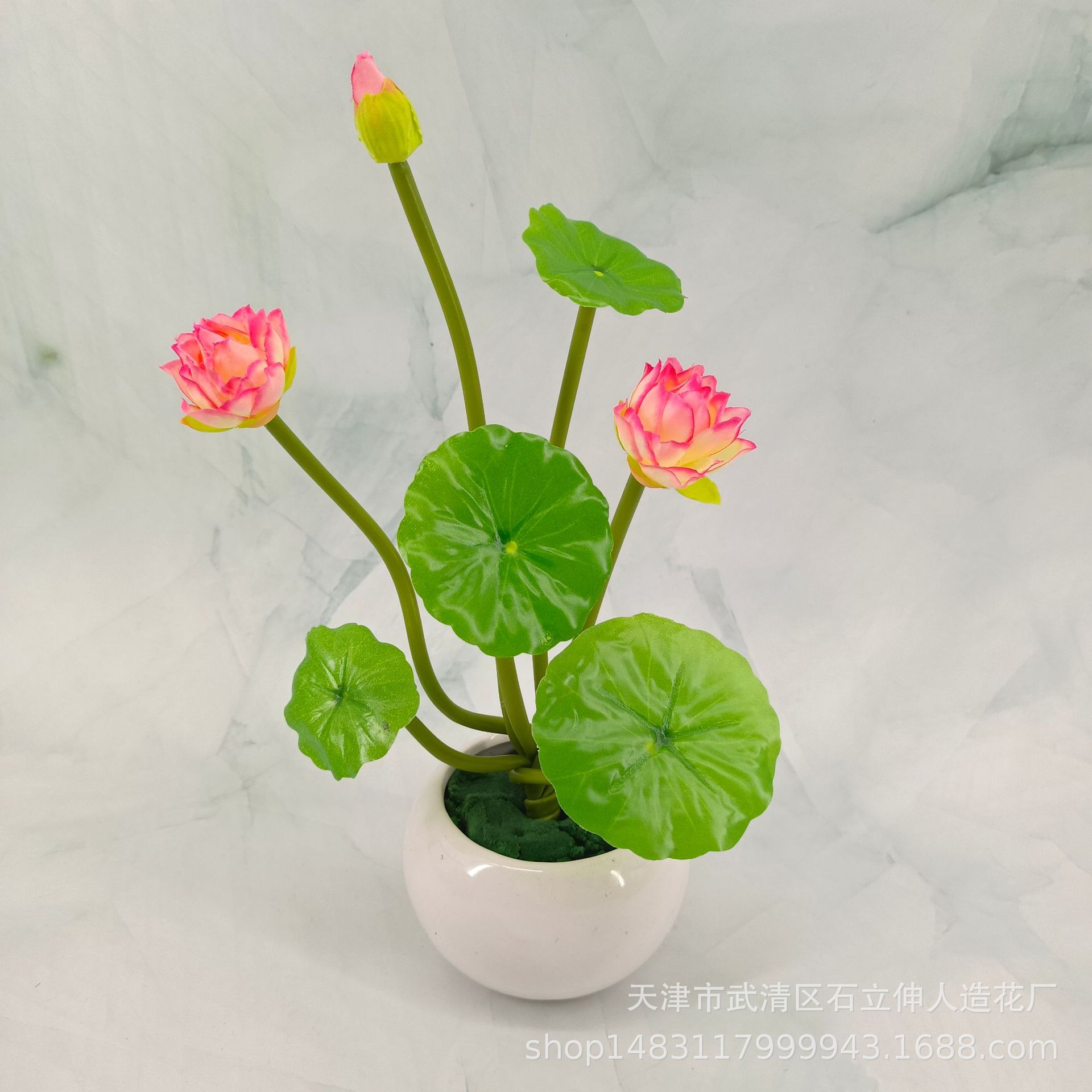 분지가없는 핑크/깊은 쪽