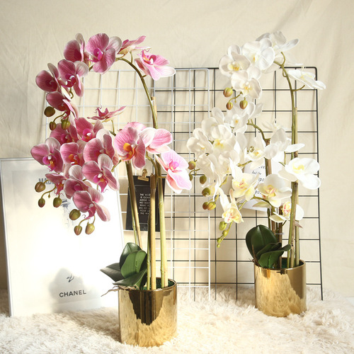 Phalaenopsis artificial flower plant bonsai wedding decoration INS style artificial plant wall flower wall rose MW18904