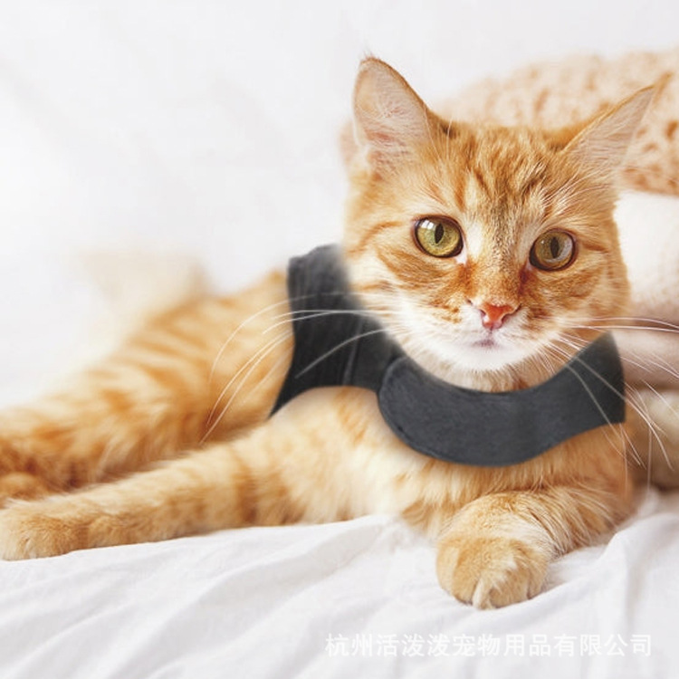 Amazon Cat Anxiety Jacket Cat Clothes Calming Vest Summer Adjustable Pet Apparel in Stock Amazon Cat Anxiety Jacket Cat Clothes Calming Vest Summer Adjustable Pet Apparel in Stock