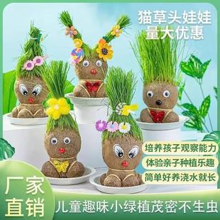 Grass Head Doll Small Potted Grass Doll Kindergarten Creative Desktop Mini Kidsren's Plant Hydroponic Desk Decoration