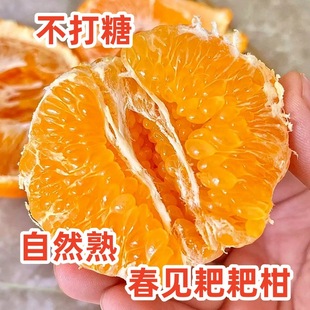 ��Ҋ�ҰҸ��Ĵ�üɽ��Ҋ�ҰҸ�ԭ�a�����a�^�l؛�r���Fժ�ҰҸ�