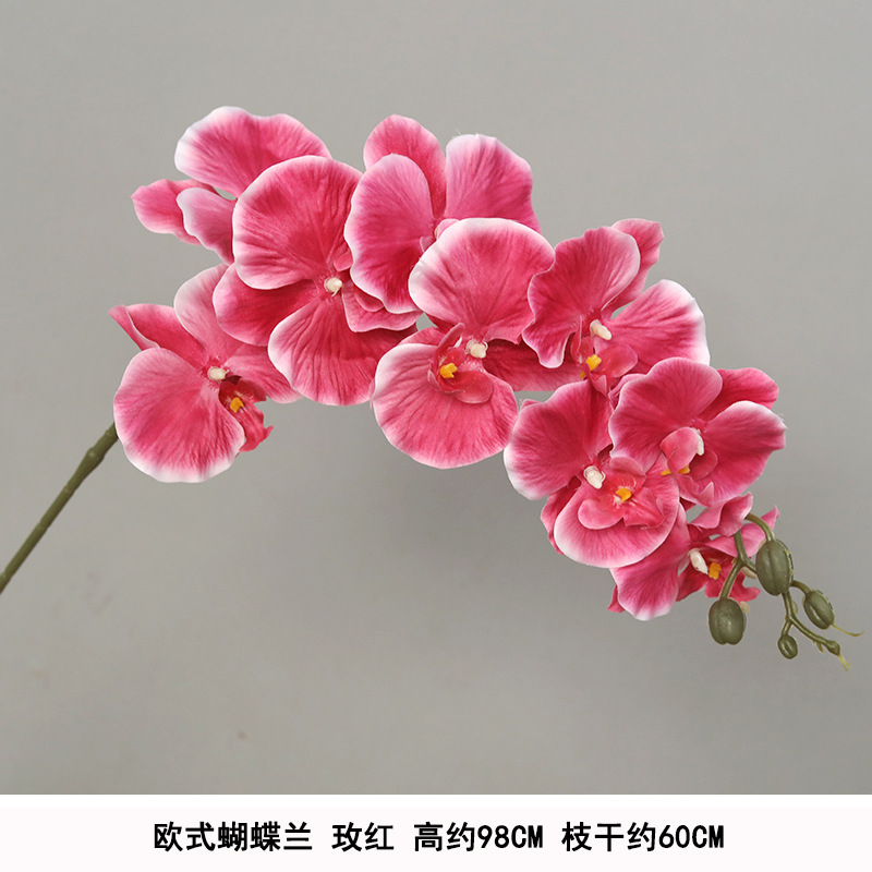 Silk cloth European Phalaenopsis-rose red