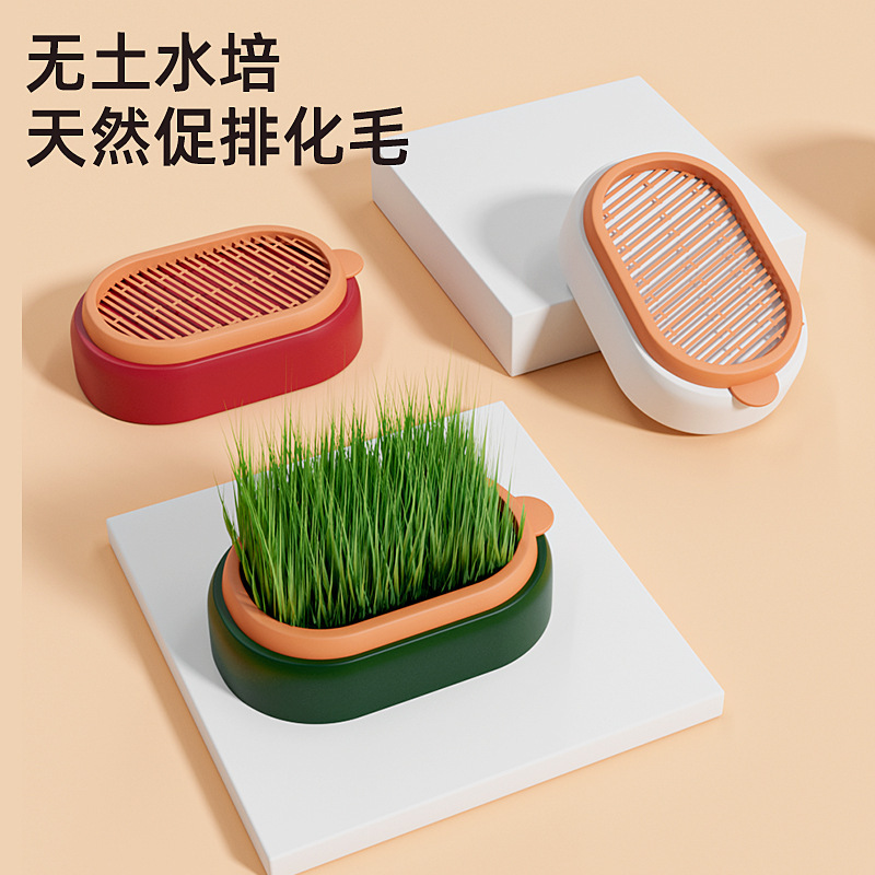 Placa de cultivo de plantas transfronterizas de hierba de gatos en maceta sin suelo hidroponía de gatos menta para el cultivo de hierba de lana para gatos