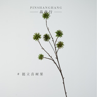 ���Sֱ�N ϲ���ɭϵ���滨�ٻ� ��c�Ҿ�չ�d�Gֲ�������廨���