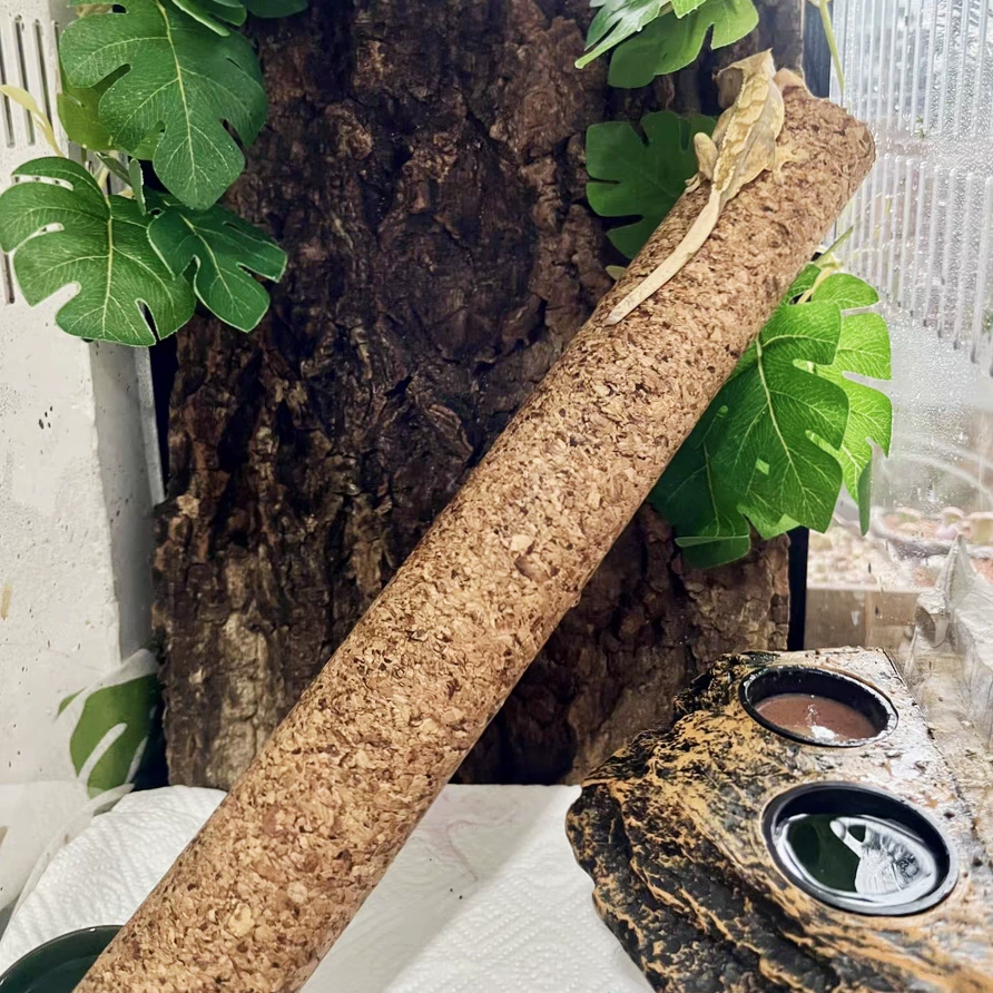 Лазательная палка для домашних животных, гигантский крючок для геккона с углом для ресниц, ящик для разведения домашних животных, ландшафтная деревянная палка, оптовая продажа палок для лазания по деревьям для домашних животных