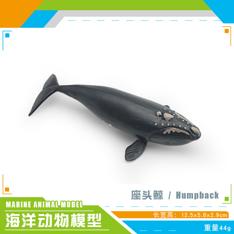 Simulación transfronteriza modelo de animales marinos cognitivo infantil tiburón ballena azul calamar ballena jorobada delfín decoración estática