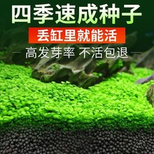 �~��ˮ�ݷN�Ӱ��������B����ƿ�쾰�ײ�ֲ��ˮ�������������b�