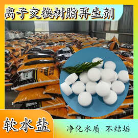 工业级软水盐 离子交换树脂再生剂厂家 99含量软水机用盐 软水盐
