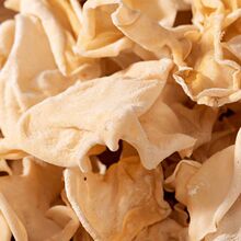 �L��ɽ�����خa�|����������ľ���ö�����؛���l��؛���ʳ�İ��]