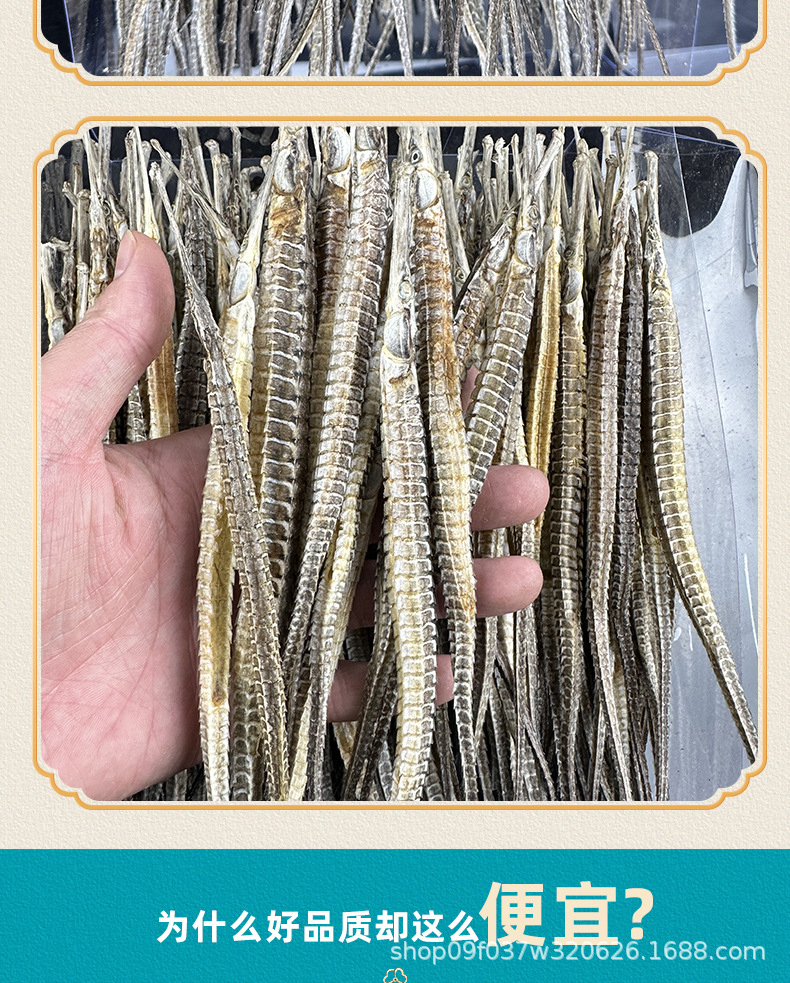 Dried Sea Dragon Hai Long Herbal Tonic Ingredient for Infused Wine 100g in use