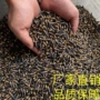 不用学生科技合金铅笔头