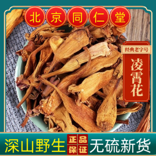 ������������ Ұ�������� ������R�Ϙ������}����؛��؛