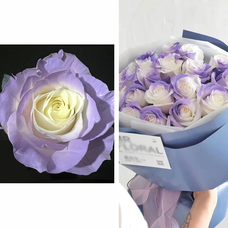 Internet celebridad ciruela negro rosa púrpura flores autopintadas agente de pulverización de color tinte floral spray colorante