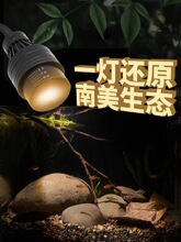 南美缸射灯 鱼缸造景照明专用灯变焦led防水超亮夹灯水草雷龙原生