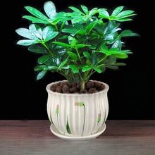 �˷���ؔ�������_ľ�����辰�lؔ�����������ļ���������