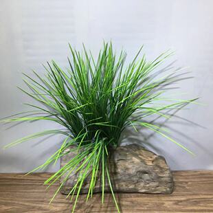 ���洺�ݾ²�·߅���m���݁��R�d�Ҿ��b�ֲ������쾰�廨���