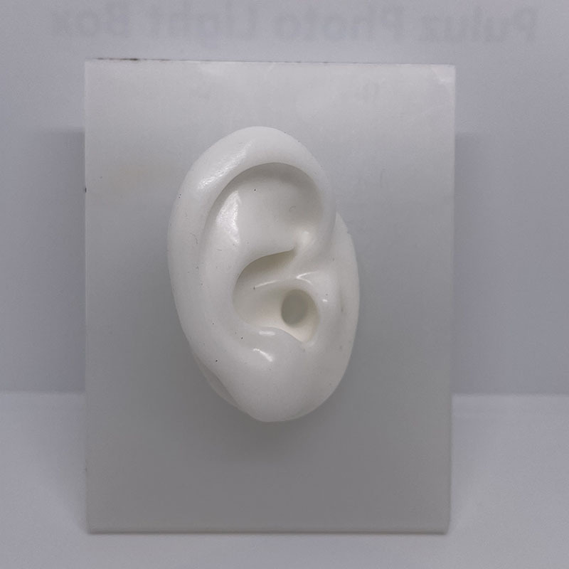 Falso modelo de oído de silicona suave simulación de oído humano espárrago del auricular accesorios médicos enseñanza pantalla ventas directas de la fábrica