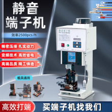 SֱNlԄoәCCƤәCTٴәC