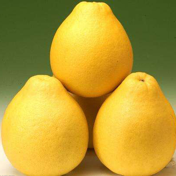 �̽��㾫�������㾫������㾫�������㾫��ˮ���㾫�������㾫