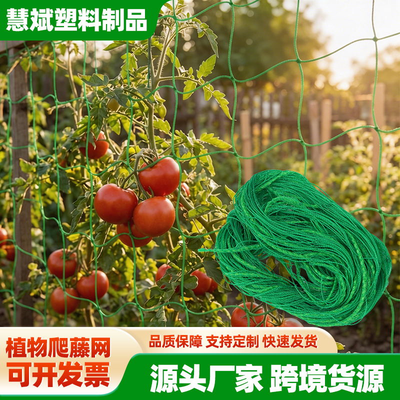 绿色爬藤网园艺网种植网植物方格子支架网抗倒搭架防倒伏爬藤网片