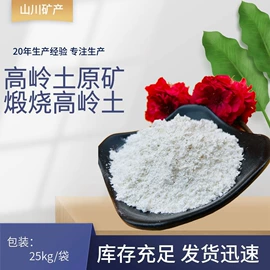 其他非金属;其他颜料;非金属粉末