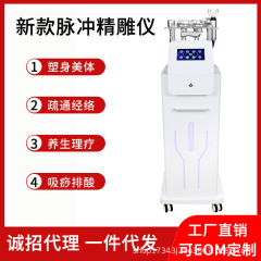 パルス精雕器経絡抜缶掻爬シェイプアップ精雕養生器美容院DDSマイクロ電気三通