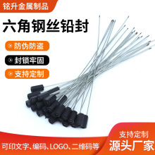 定制钢丝铅封物流货运封签集装箱水电表施封锁抽紧式钢丝封条