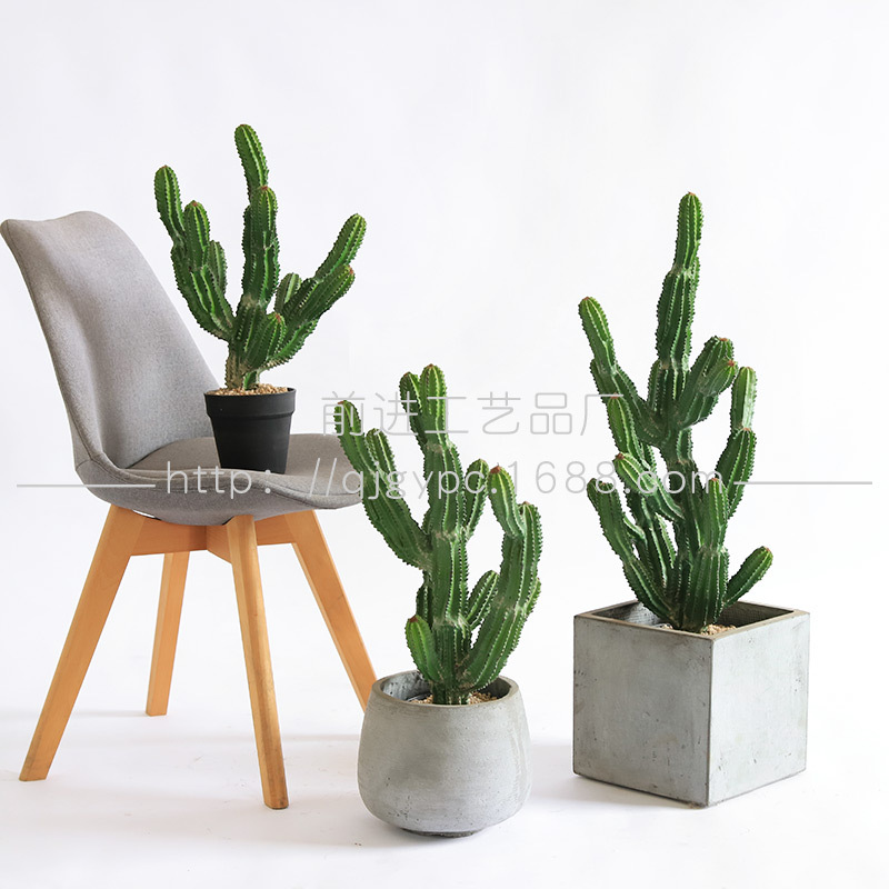Simulation Bayan Fairy Pillar Tropical Bionic Palm Green Plants…