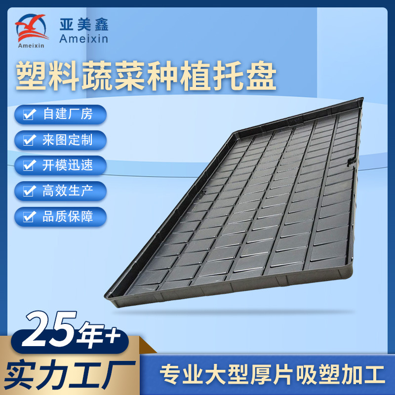 温室育苗盆厚板吸塑头盆尾盆独立盆水培叶菜ABS塑料托盘加工定做
