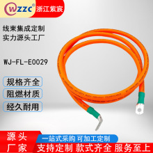 �S�Ҷ���WJ-FL-E0029�����B����|����Cе�O���D�Ӿ��������O��