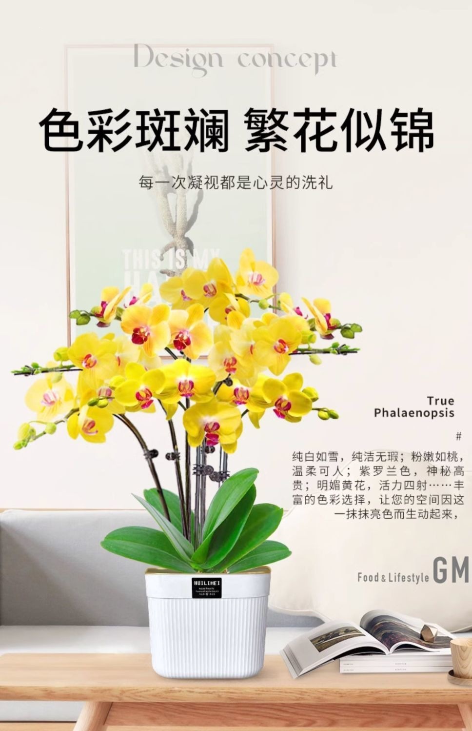 详情图