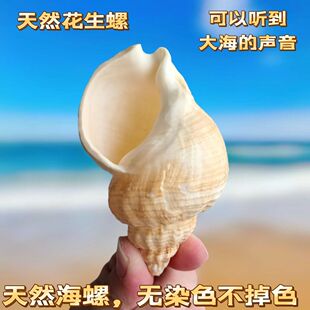 �ľ�з��Q����Ȼ����ؐ���������~���쾰��̨�b[���Ĕz����