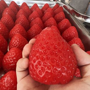 Cross-Border Xiaohongshu Trending Strawberry Squishy Toy, Internet-Famous High-Appearance Realistic Fruit Stress-Relief Toy