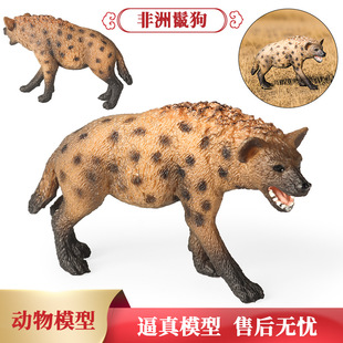 �羳�������ģ�ͷ�������๷���B�`؈��ͯ���Ą���@��ߔ[��