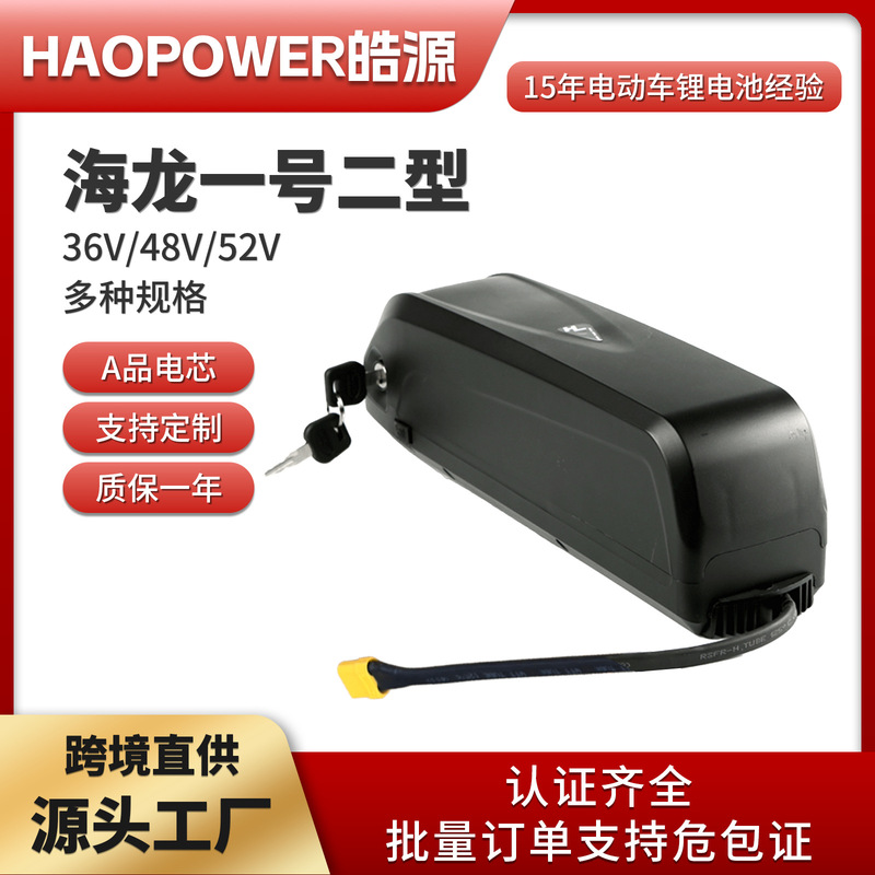 Hailong Type 1 and Type 2 Battery 48V13Ah Large Capacity Lithium Battery Pack for Mountain Bikes with USB Port