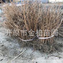 ��¶÷�������������ͺ�����÷������ľ�@�־G����ľ��¶÷