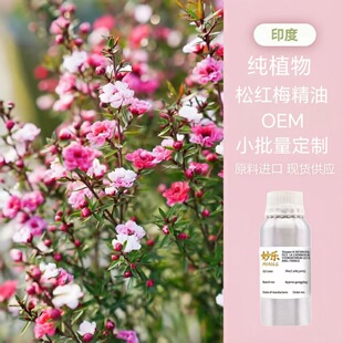 �M���ɼt÷�η�����ֲ����޹���ͷ����U�㰴Ħ�o�w���������lԭ��