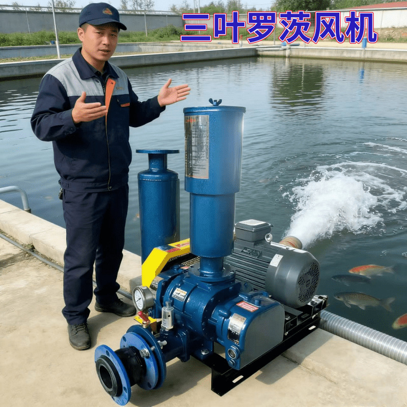 Three-Blade Roots Blower Manufacturer, Chemical Plant Sewage Aeration Htsr80 Type-5.5Kw Fish Pond Aeration Aerator