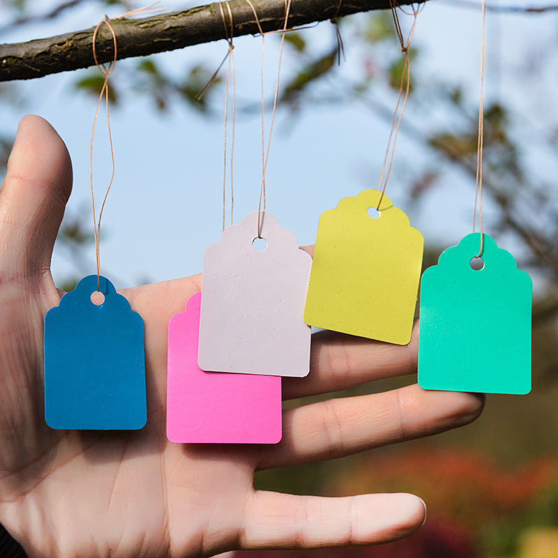 植树节挂牌PVC100张实验小绿植吊签花卉园艺苗木吊牌兰花防老化