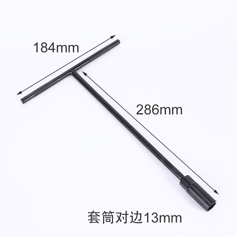 13(전기영동 T형)