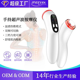 电子美容仪;面罩美容仪;其他美体瘦身