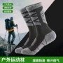 男士滑雪登山中筒运动袜