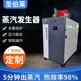 蒸汽发生器;燃生物质锅炉;锅炉配附件