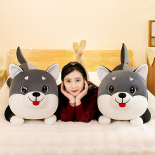 �¿��ʿ��ë�q��߹����L�l��Ȯ����������żŮ�����նY���H�ӹ�