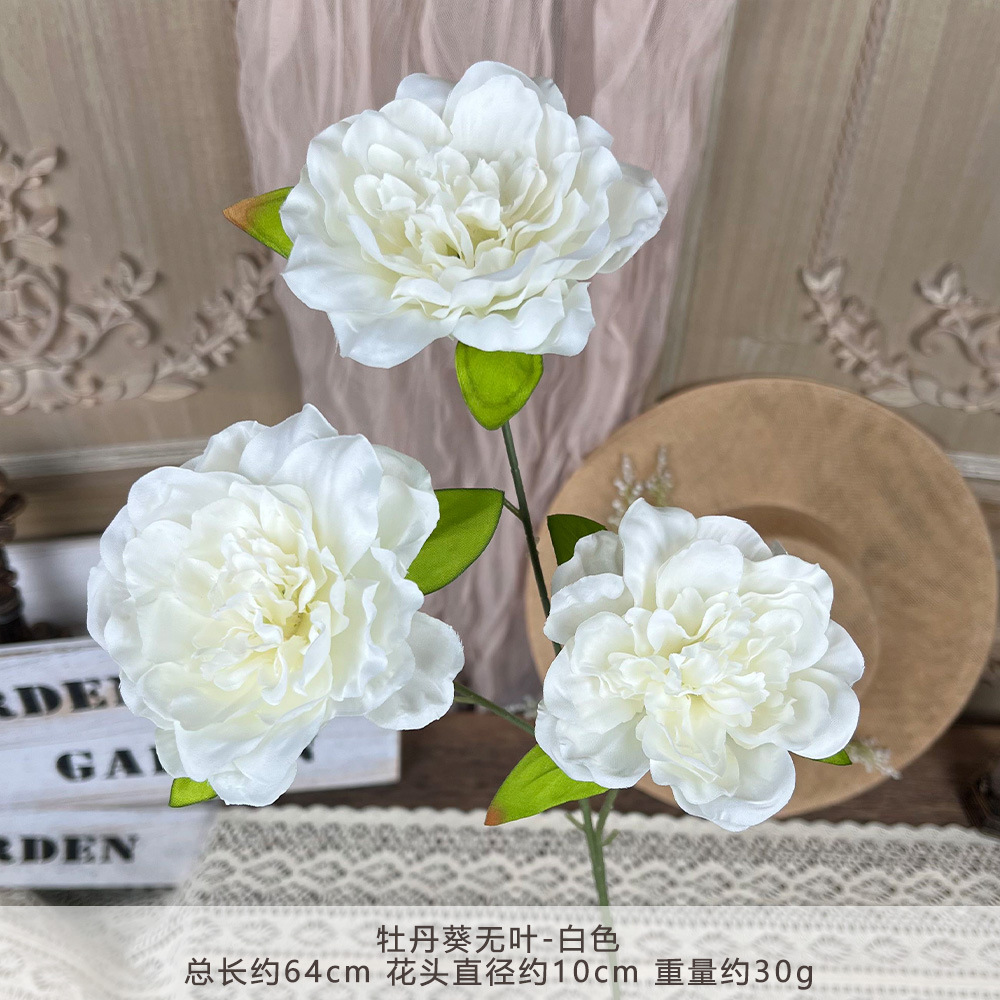 ZYJ2 - ดอกโบตั๋น ดอกทานตะวัน ไม่มีใบ - สีขาว