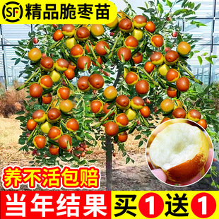 �޽ӗ�������ش󶬗��ش���J���������籱���Ϸ��NֲͥԺ����