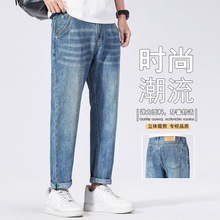 2026�¿�ı���߶��p�ݜ\ɫ�ŷ�ţ��ѝ��ʿ���폗��С�_���eѝ
