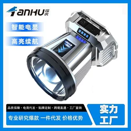 手电筒;头灯头戴电筒;野营/露营灯