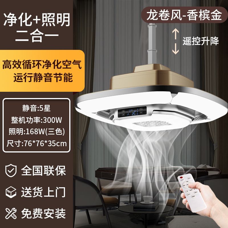 매장 전체 구성, 내부 최고 구성 - 황제 골드