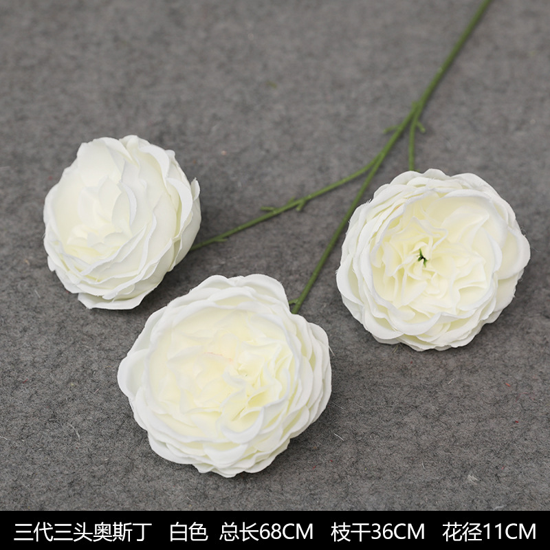 Three -headed Osdin white